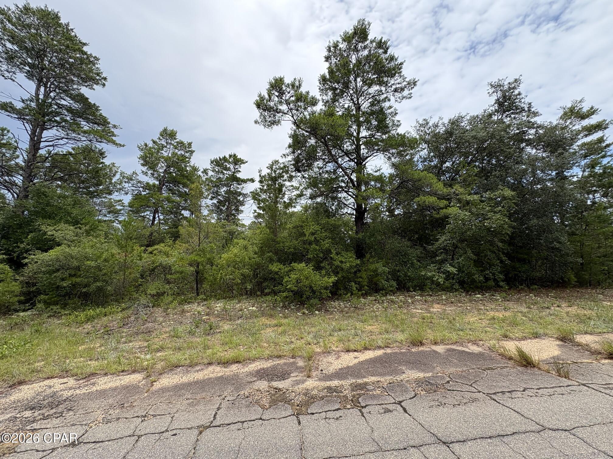 Land in Chipley 3
