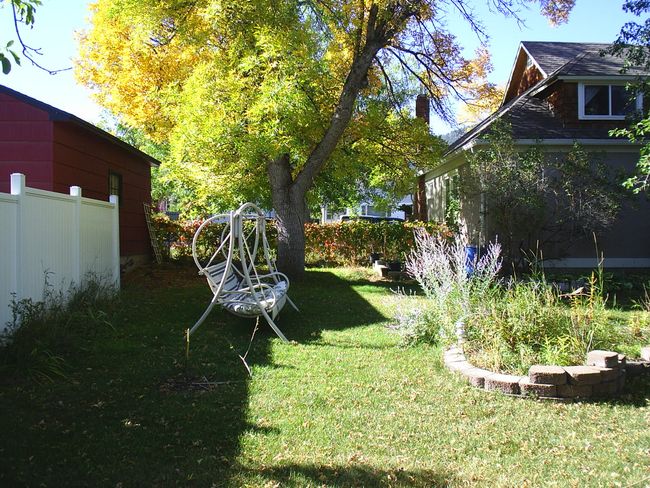 View of yard | Image 9