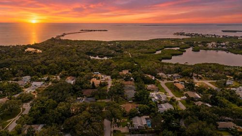 1706 Avoca Dr, Tarpon Springs, FL, 34689-2104 | Card Image