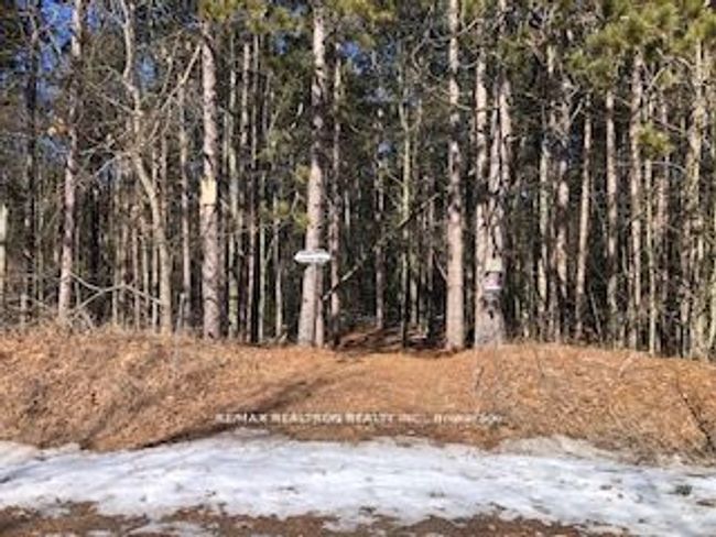 0 Sandaraska Rd, Home with 0 bedrooms, 0 bathrooms and null parking in Pontypool ON | Image 9