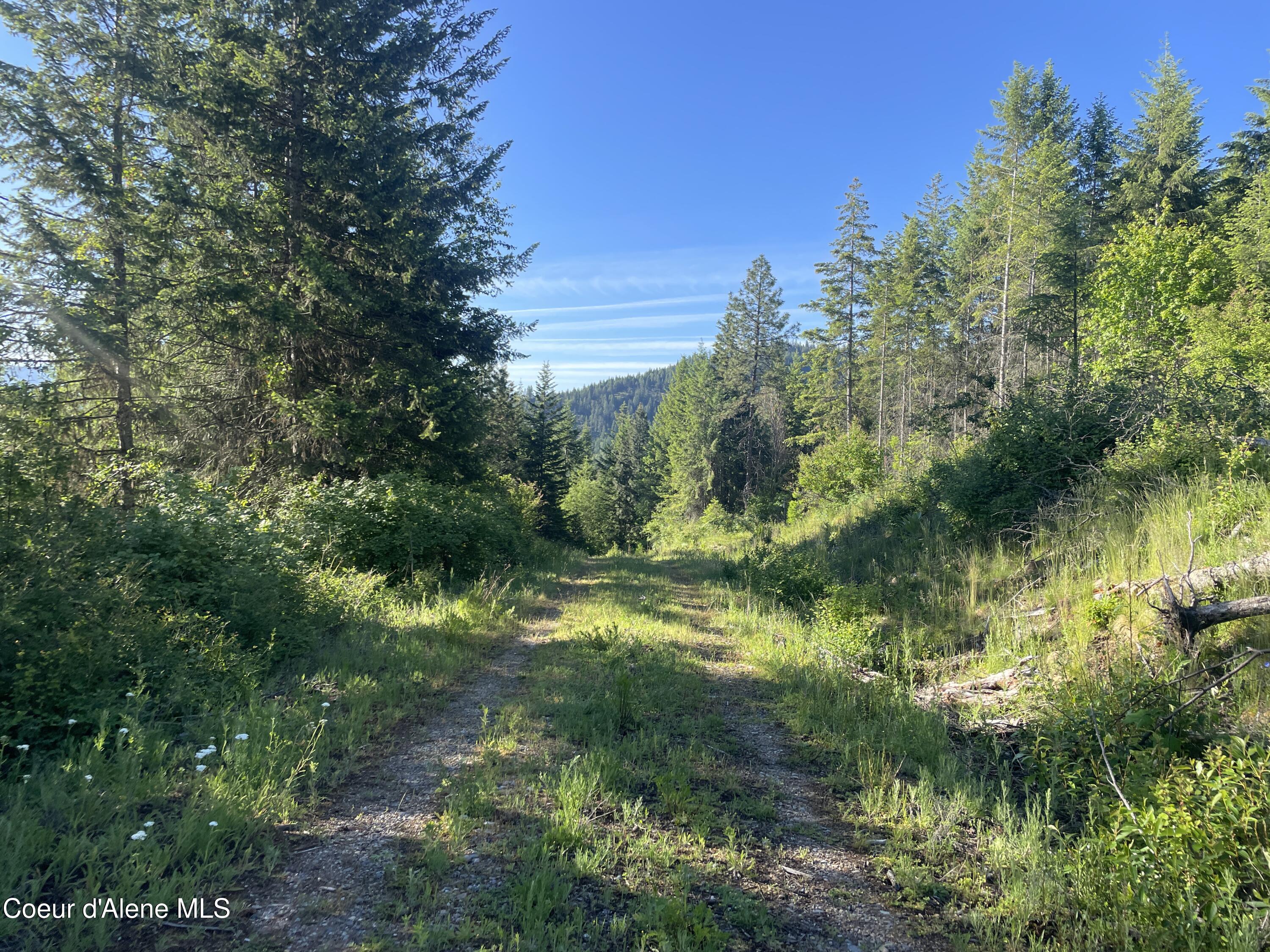 Land in Priest River 4
