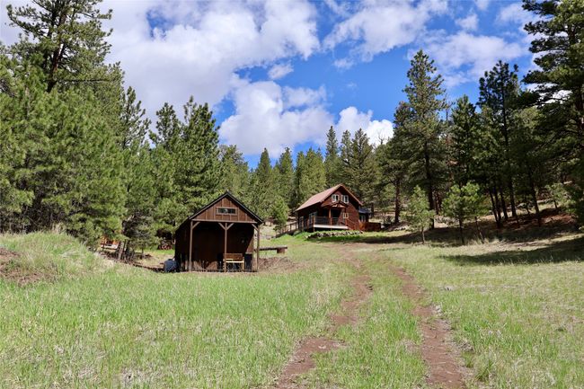 View of yard with an outbuilding and a forest view | Image 30