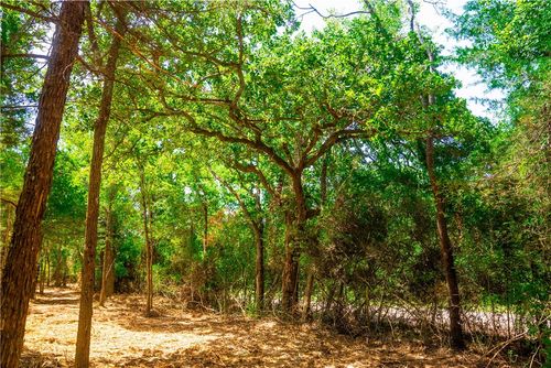 1 Red Hill Road, Calvert, TX, 77859 | Card Image