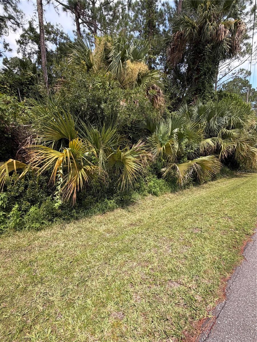 Land in PALM COAST 3