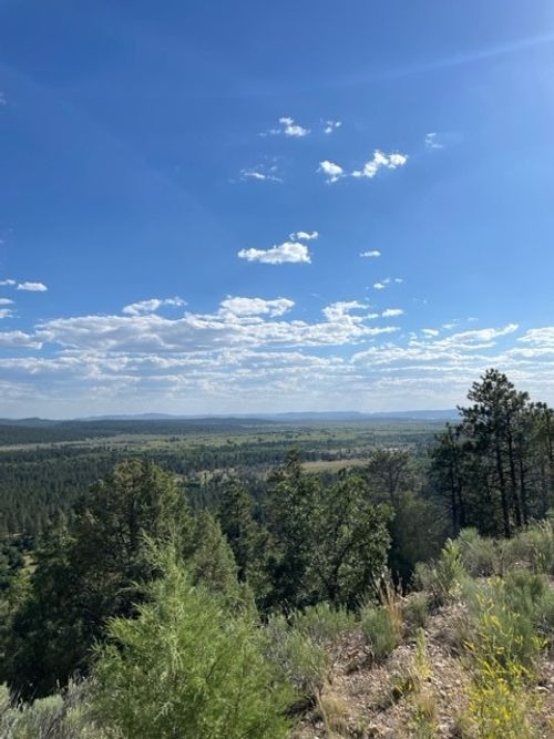 TBD Ticonderoga Dr, Chama, NM, 87520 | Card Image