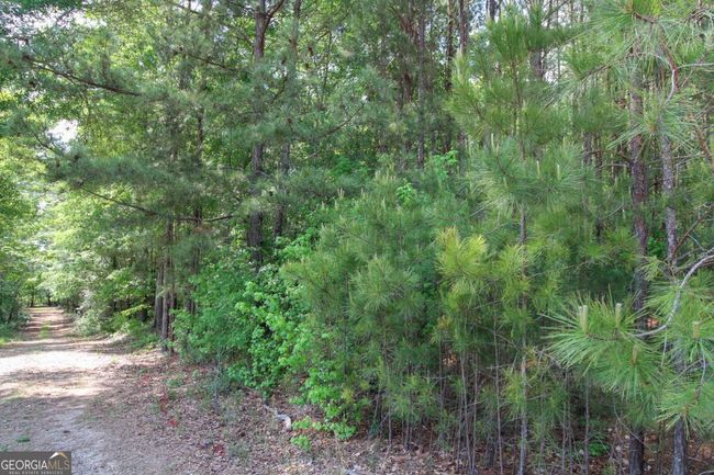 1040 Bridlegate Dr, Home with 0 bedrooms, 0 bathrooms and null parking in Watkinsville GA | Image 10