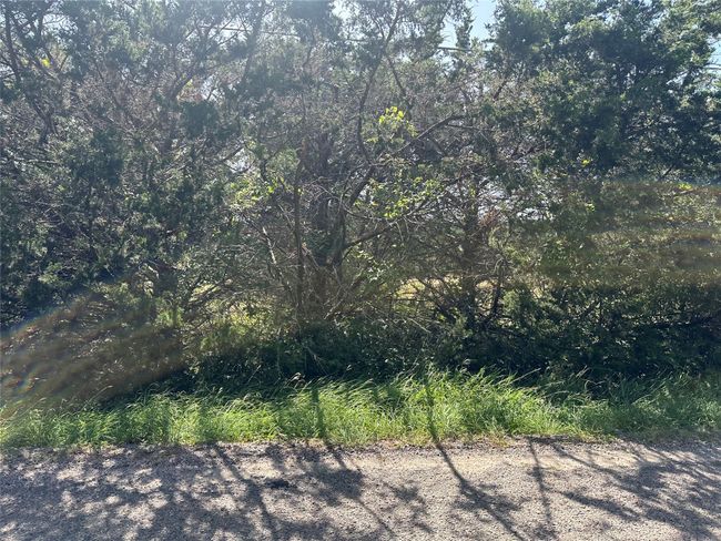 View of nature | Image 17