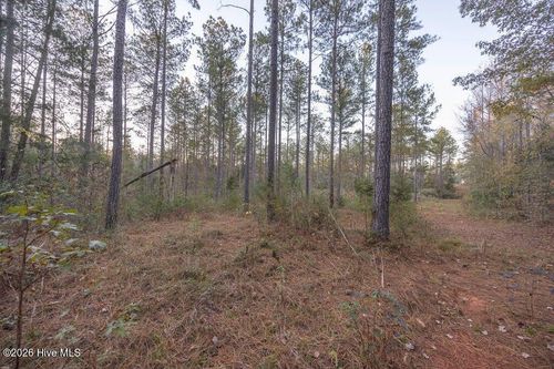 0 Barr Chapel Rd, Edgefield, SC, 29824 | Card Image