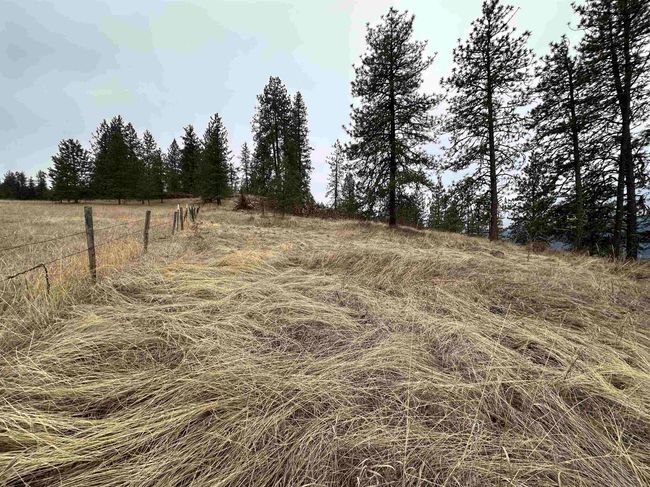 3312X Daisy Mine Rd, Home with 0 bedrooms, 0 bathrooms and null parking in Rice WA | Image 14
