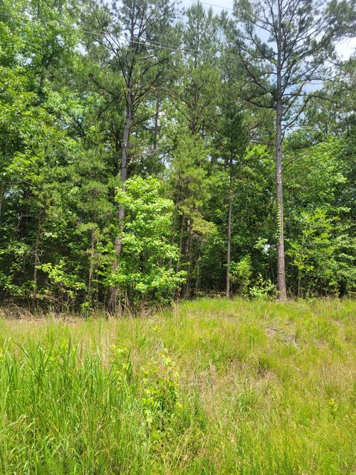 cwl200-0 Dogwood Dr, Saulsbury, TN, 38067 | Card Image