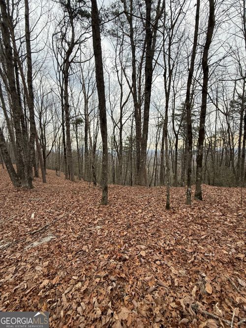 LOT 7 Westmoreland Rd, Cleveland, GA, 30528-5937 | Card Image
