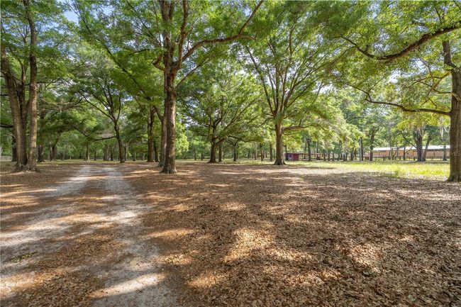 8587 Sw 34 Th Pl, House other with 5 bedrooms, 3 bathrooms and null parking in Ocala FL | Image 37