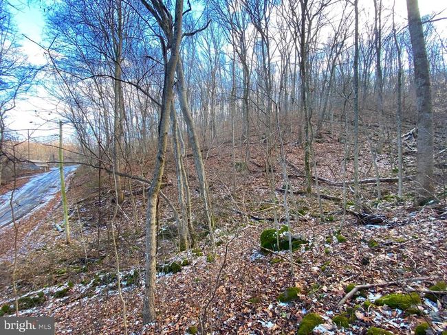 00 Hickory Tree Rd, Home with 0 bedrooms, 0 bathrooms and null parking in FRONT ROYAL VA | Image 18