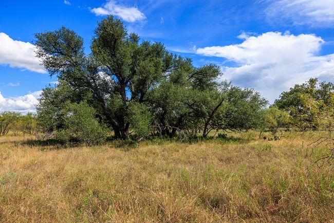 5 - 0B Ranch Road 1323, Home with 0 bedrooms, 0 bathrooms and null parking in Willow City TX | Image 23