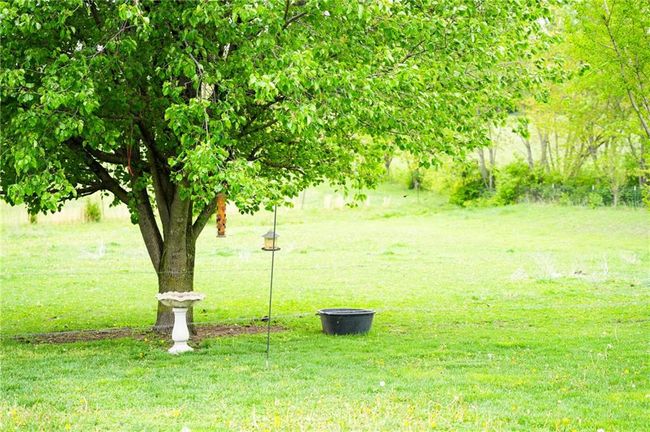 View of yard | Image 28