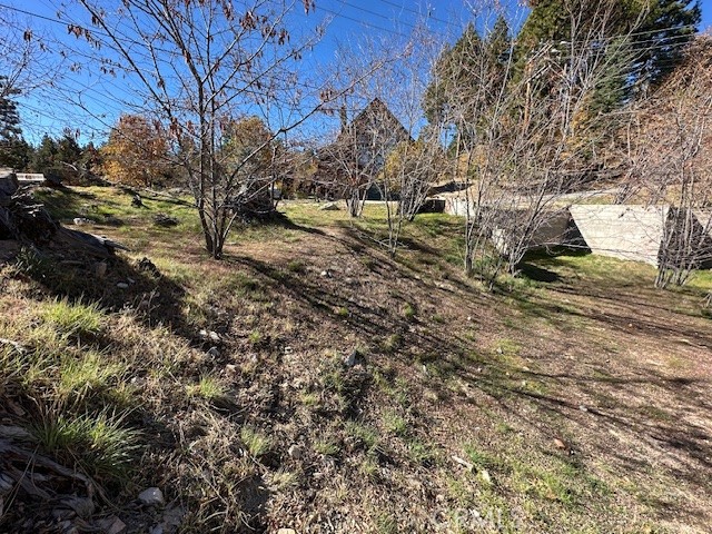 Land in Running Springs 2