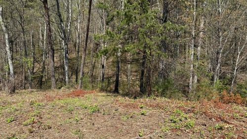 475 Bayside Blvd, Bean Station, TN, 37708-1421 | Card Image