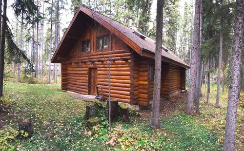 85A Township Road 464, Wetaskiwin County No 10, AB, T0C0T0 | Card Image