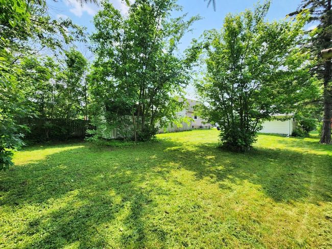 yard | Image 18