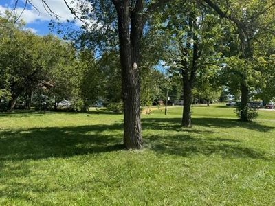 View of yard | Image 3