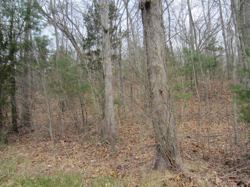 43 Fall Brook Rd, Killingly, CT, 06239-3709 | Card Image