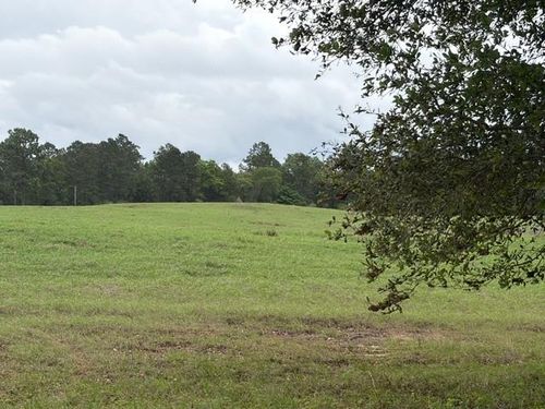 Lot 251 E Lakeland Ct, Hillister, TX, 77624 | Card Image