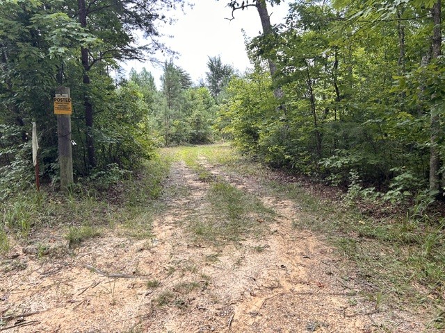 Land in Spencer 3