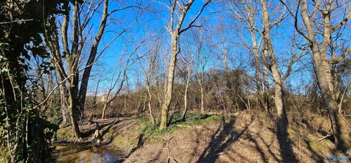 1 +/- Acre Alabama Highway 227, Geraldine, AL, 35974 | Card Image