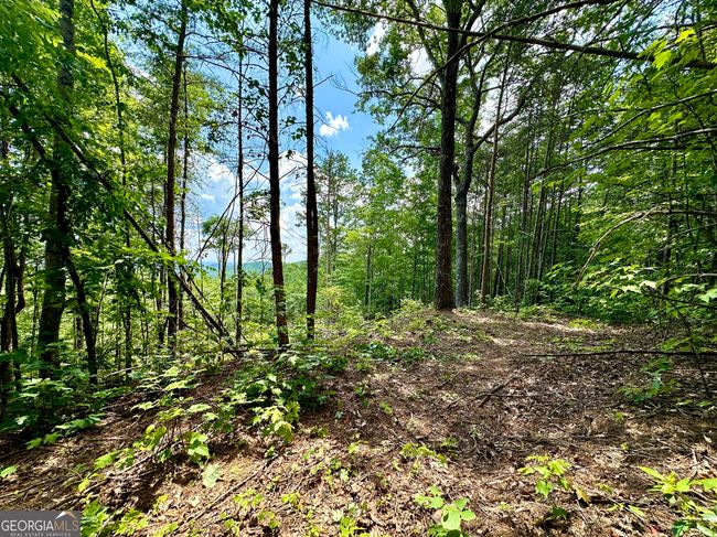 LOT 73 Mountain View Road, Home with 0 bedrooms, 0 bathrooms and null parking in Ellijay GA | Image 14