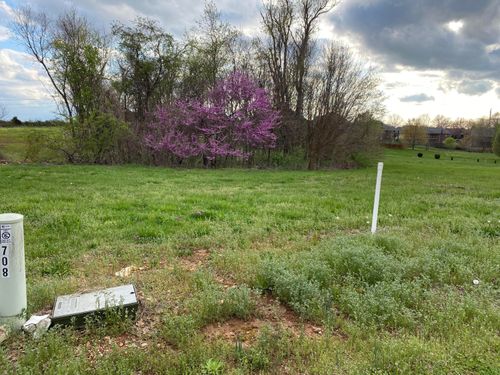 lot 24 Bentwater Phase 3, Nixa, MO, 65714 | Card Image