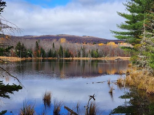 Lot 1 State Route 374, Cadyville, NY, 12918-2600 | Card Image