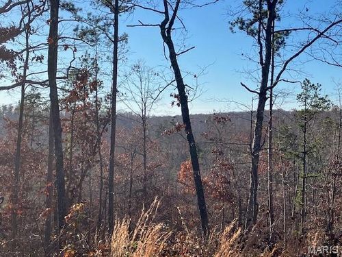 55 Madison, Fredericktown, MO, 63645 | Card Image