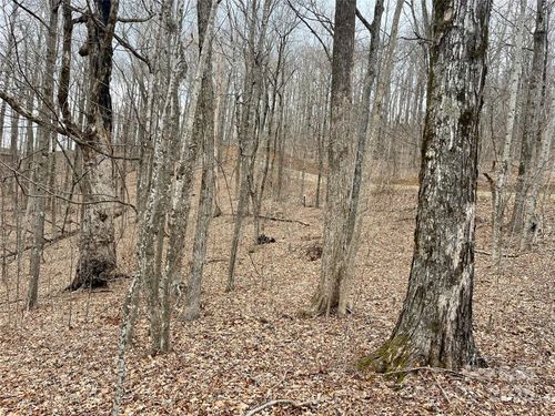 TBD Alderfly Ct, Spruce Pine, NC, 28777 | Card Image