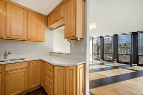 1908-1 E Scott St, Chicago, IL, 60610-5255 | Card Image