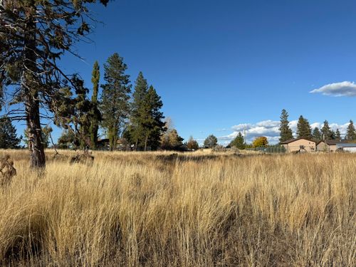 lot-36-0 Rainbow Dr, Chiloquin, OR, 97624 | Card Image