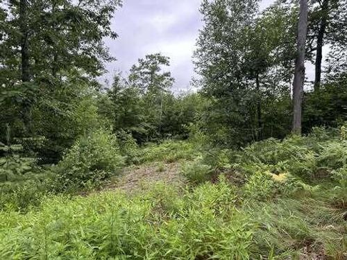 1044 Christain Hill Road, Lovell, ME, 04051 | Card Image
