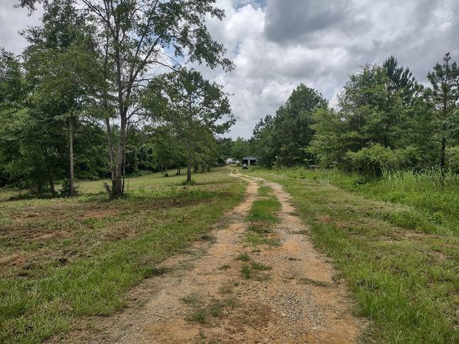 1100 Sapp Rd, House other with 3 bedrooms, 3 bathrooms and 3 parking in Dry Branch GA | Image 22