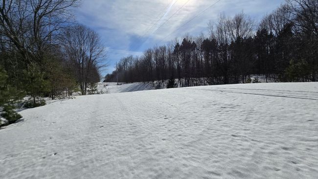 20250310_155132_resized | Image 66