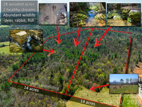 0000 Jimmy Fox Ln, Taylorsville, NC, 28681 | Card Image