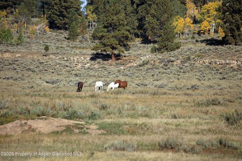 louie-pasture-TBD Divide Rd, Whitewater, CO, 81527 | Card Image