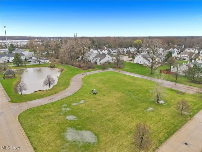 pond and field | Image 11