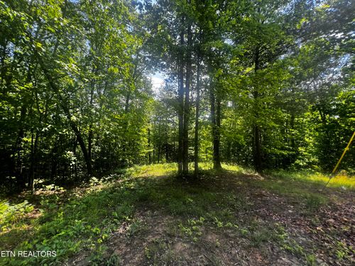 149 Fox Trl, Wartburg, TN, 37887-2500 | Card Image
