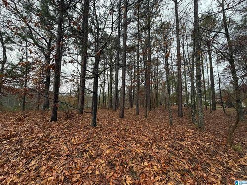 40-7813 Barbara Dr, Mc Calla, AL, 35111-3222 | Card Image