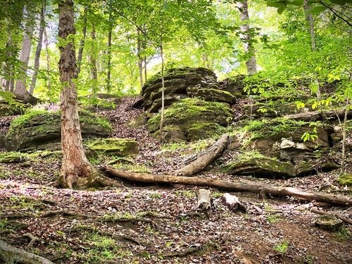 0 Three Island Rd, Walling, TN, 38587 | Card Image