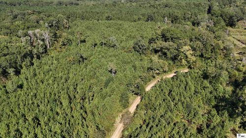 000 Lynn Wheelis Rd, Marion, LA, 71260 | Card Image