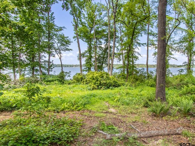 3126 Shadow Pine Dr, Home with 0 bedrooms, 0 bathrooms and null parking in LaRue TX | Image 19