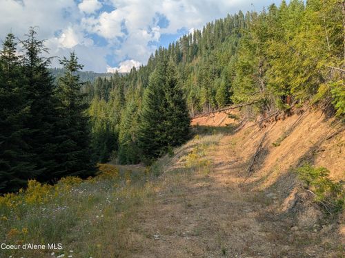 NNA 20.02a Daisy Gulch Rd, Mullan, ID, 83846 | Card Image