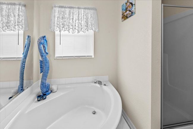 master tub and walk-in shower | Image 15