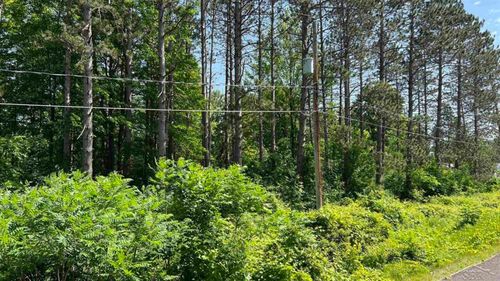 VL W Ingham Road, Edenville Township, MI, 48657 | Card Image