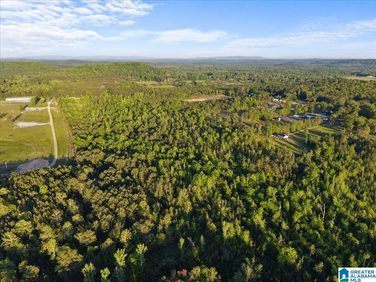 Land in OHATCHEE 4